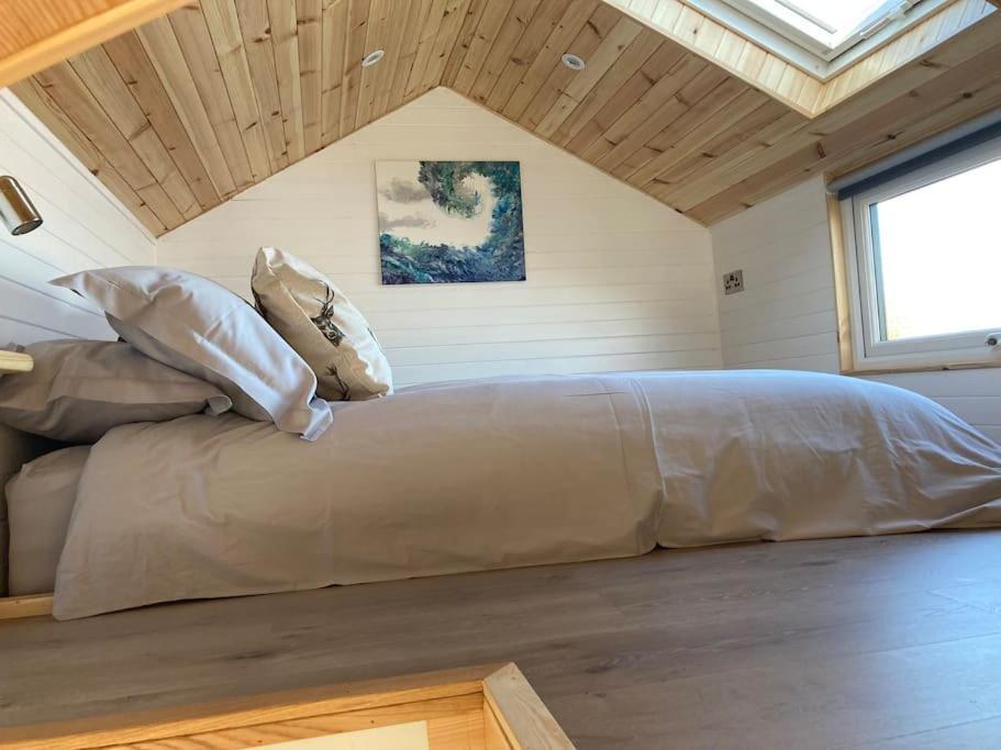 The Ashmere Tiny House Coldingham Kültér fotó