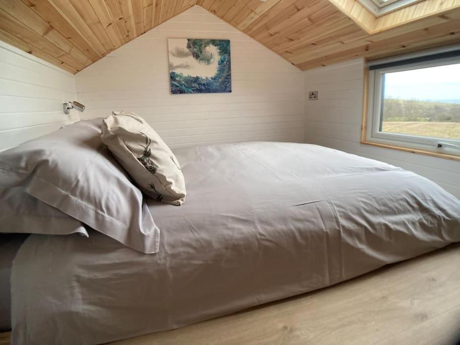 The Ashmere Tiny House Coldingham Kültér fotó